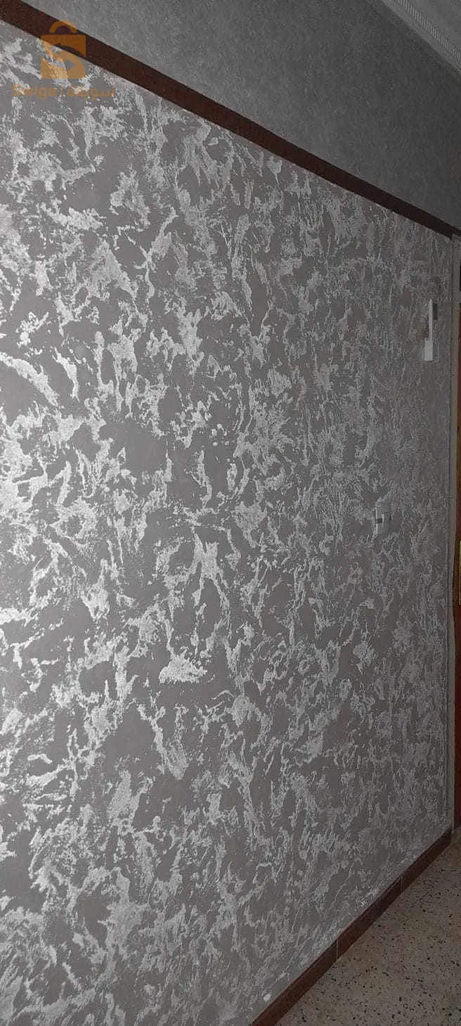 صباغة ديكورات عصرية