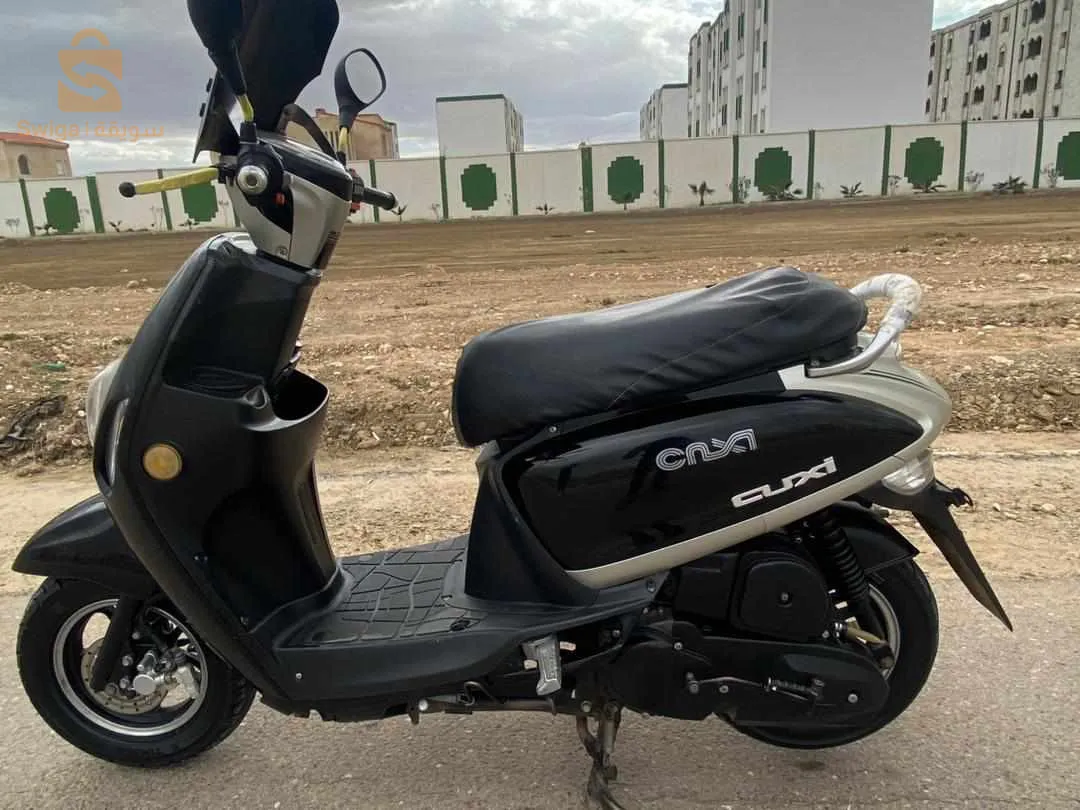 جديدة مفيها حتى حاجة