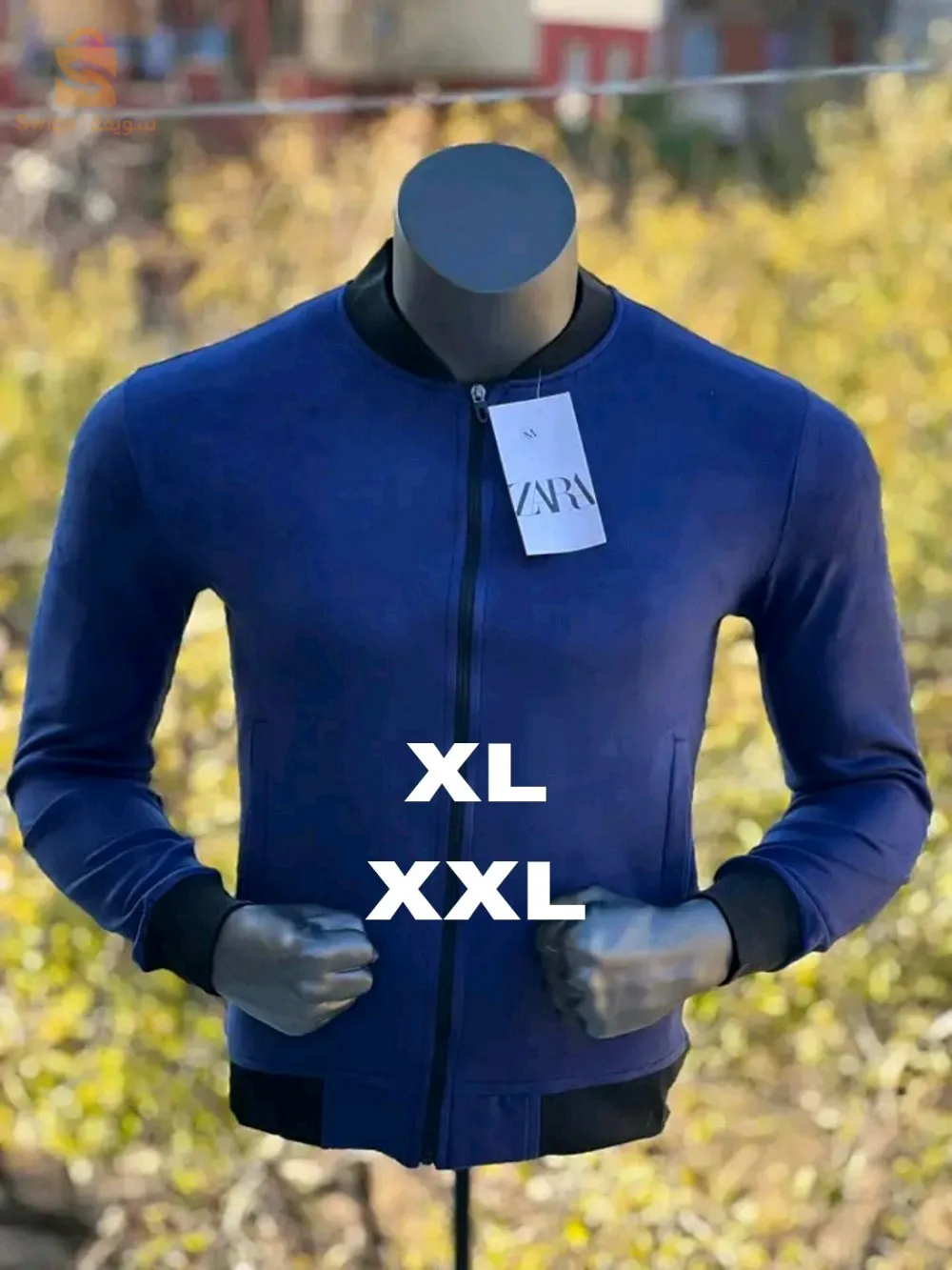 عمي موسى