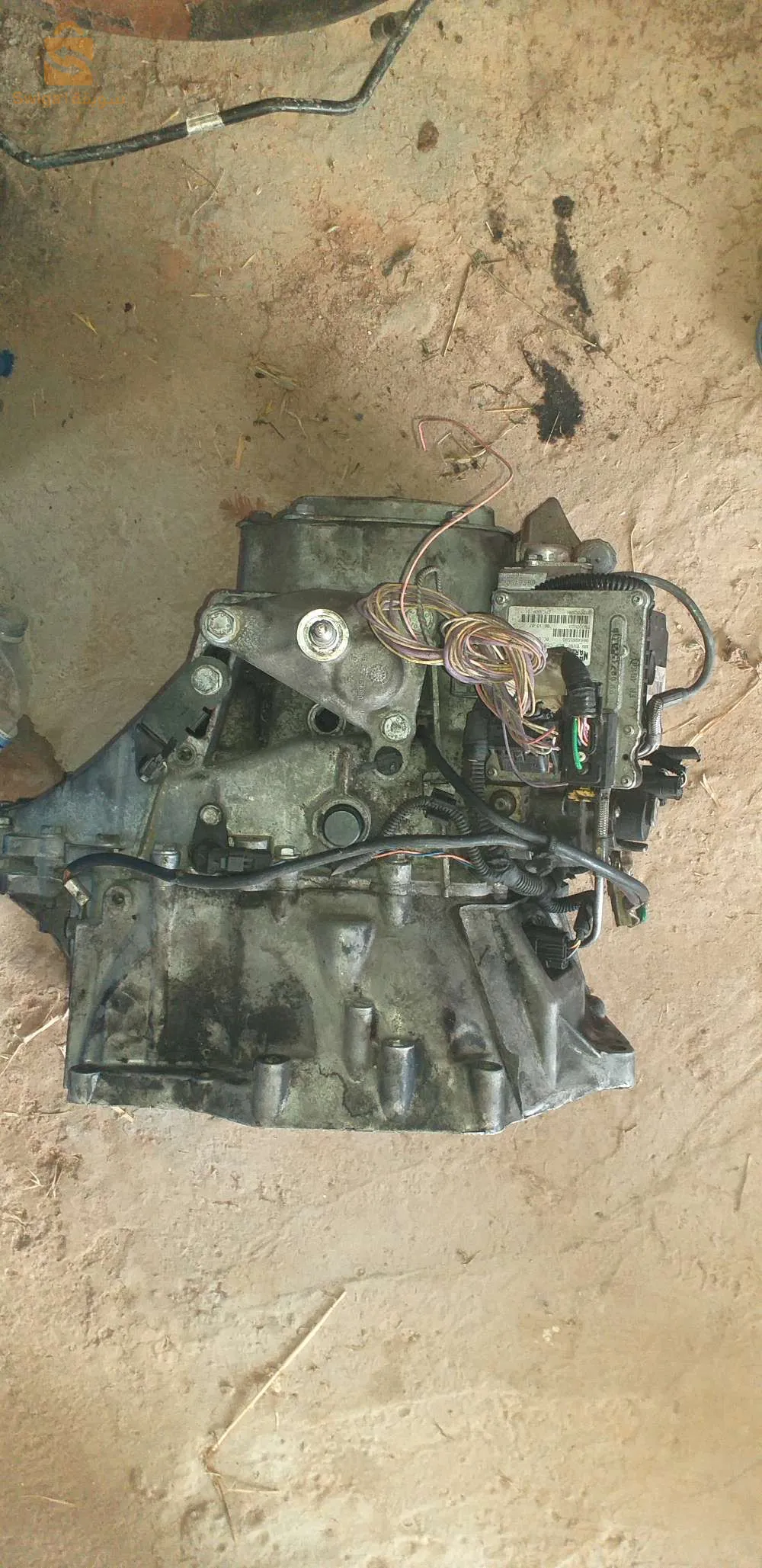 المريج تبسة