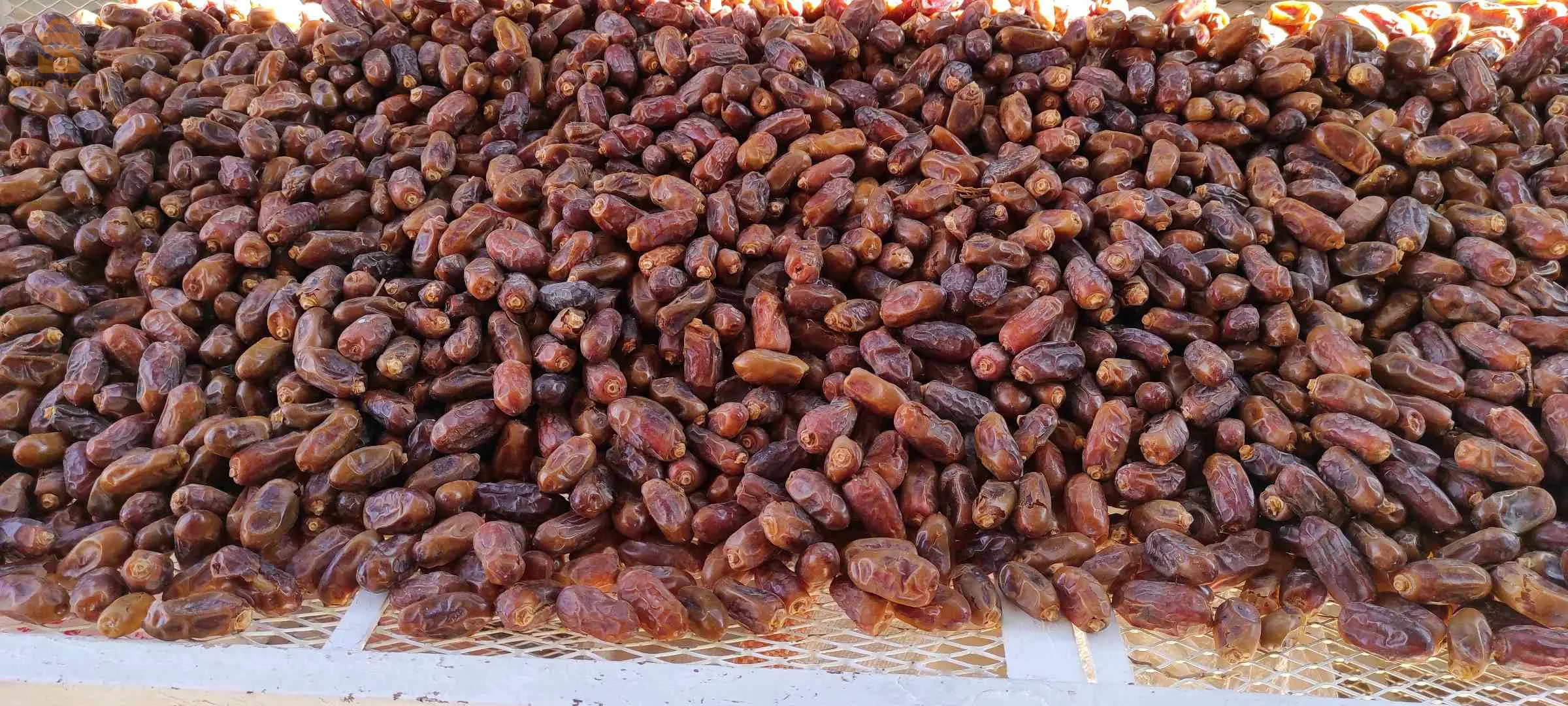 تمر الحميرة