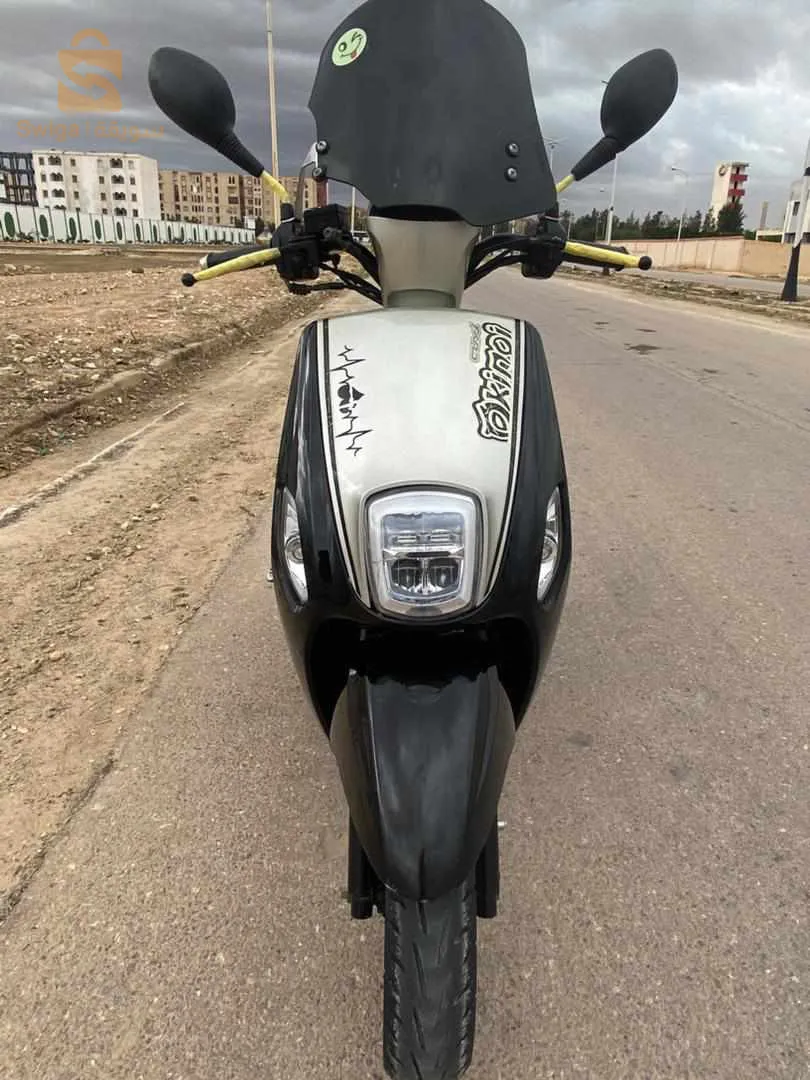 جديدة مفيها حتى حاجة