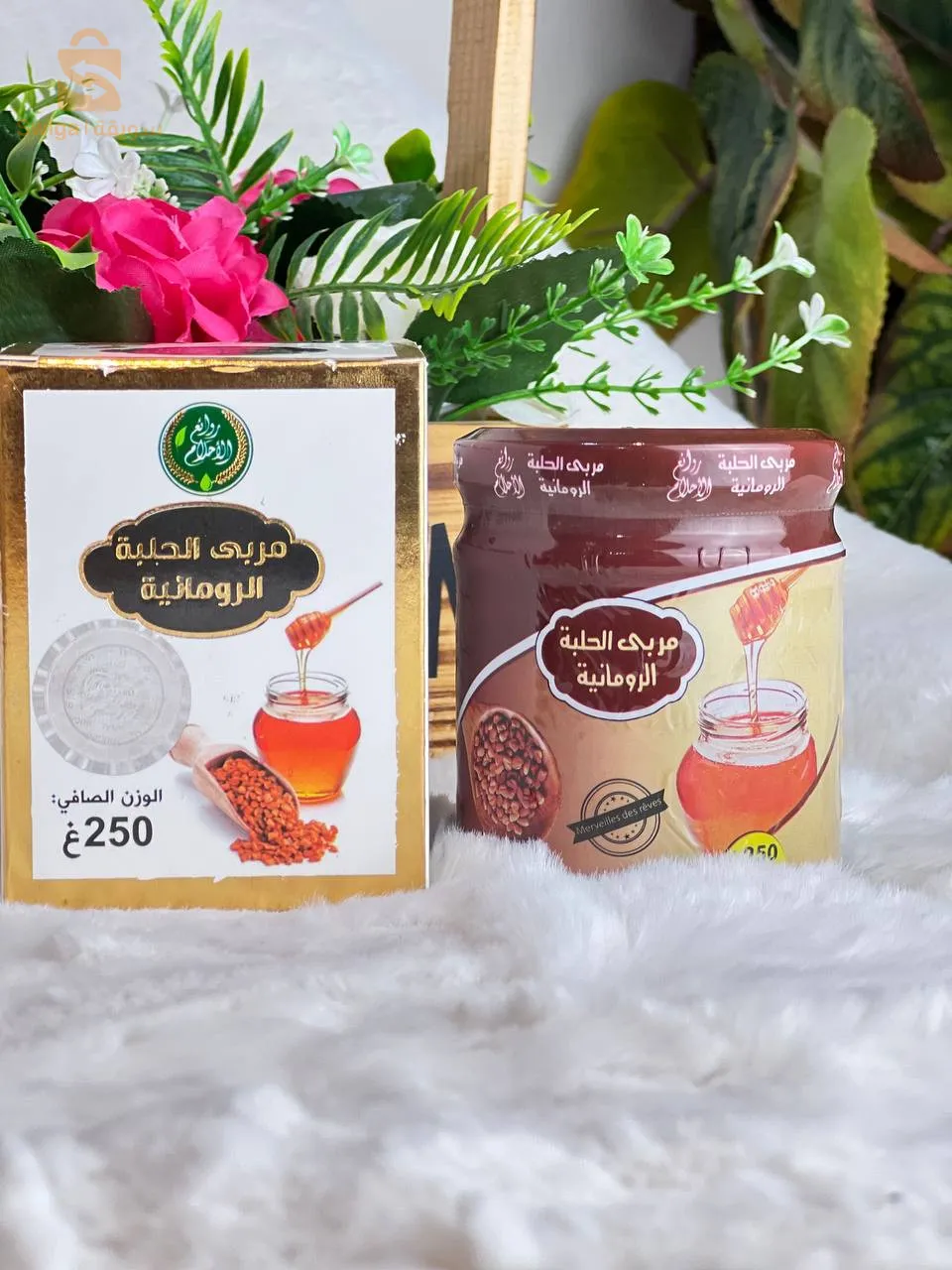 مربى الحلبة الرومانية