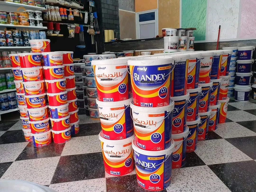 blandex 25kg peinture lavable blanche