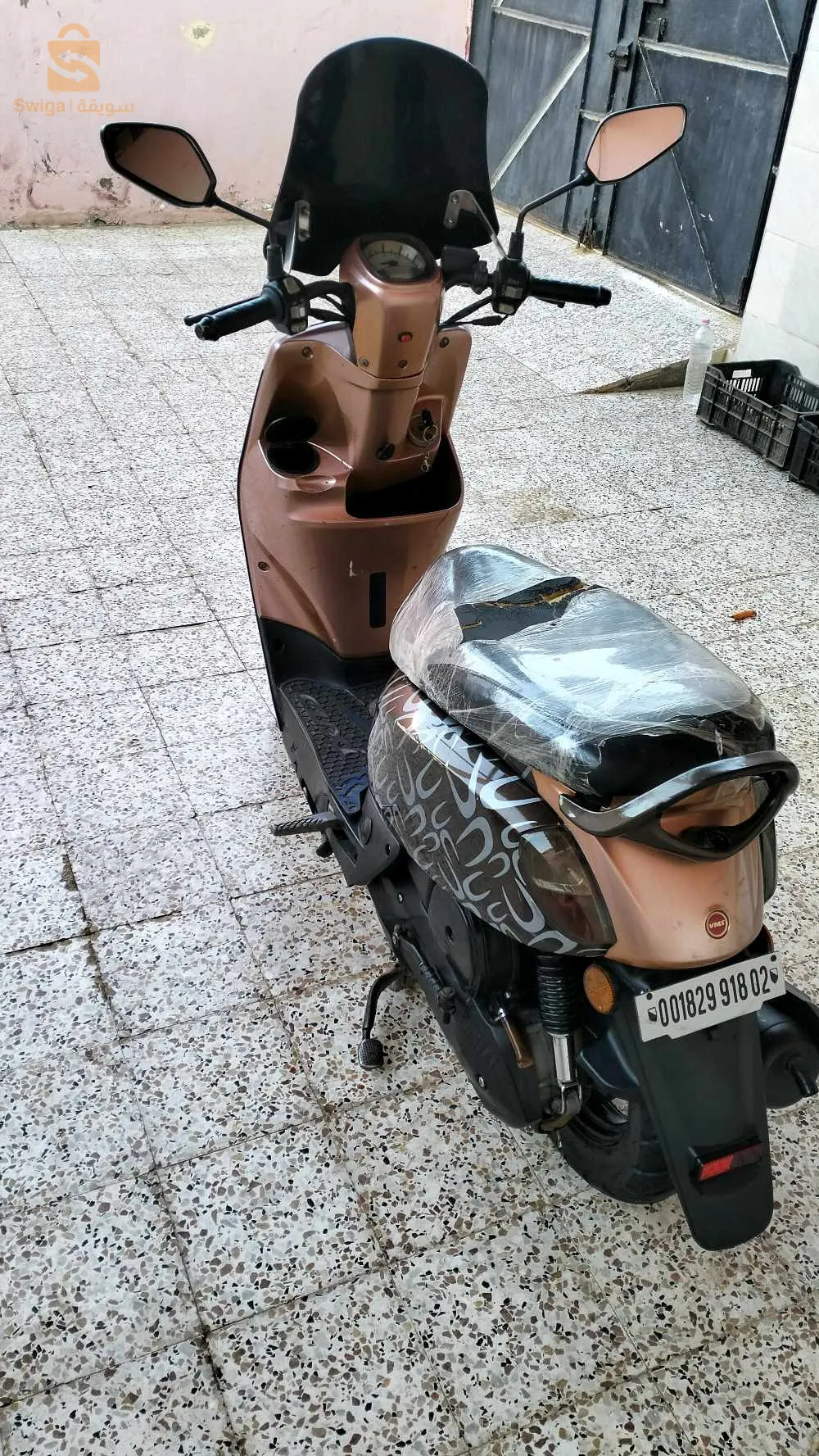 كوكسي1 2018