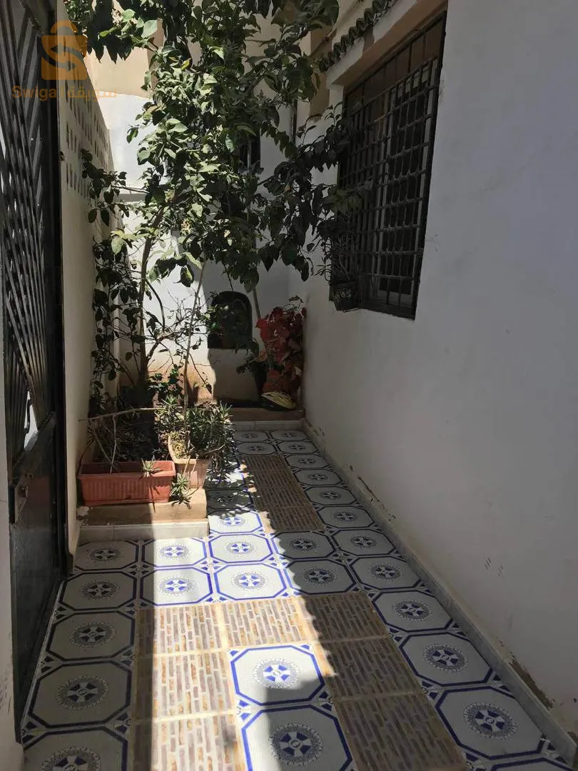 تعاونية بانوراما بلقايد بئر الجير وهران