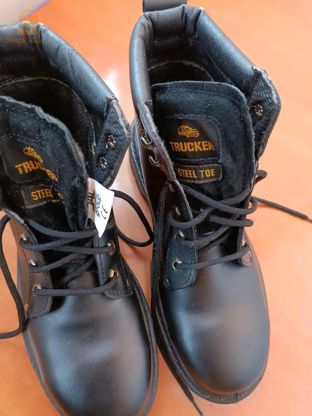 جديوية ولاية غليزان