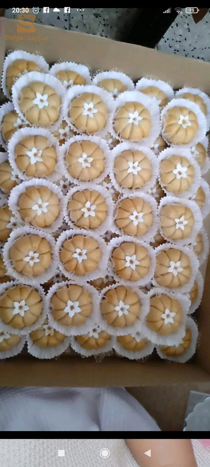 مرحب بيكم عند ام شفاء
