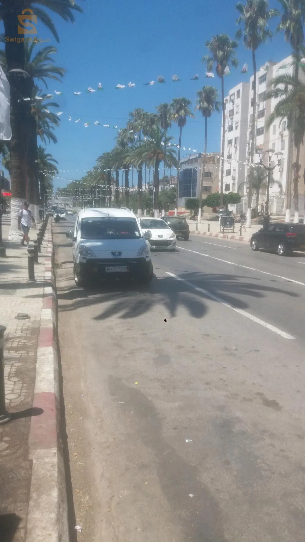 سطيف العلمة