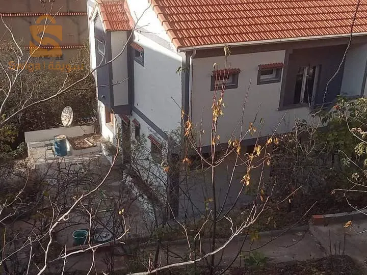 تزيين الواجبات الخارجية بكل أنواعها مونوكوش و باصطا وطرافانتينو