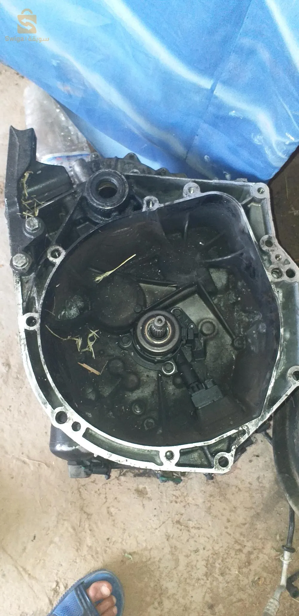 المريج تبسة