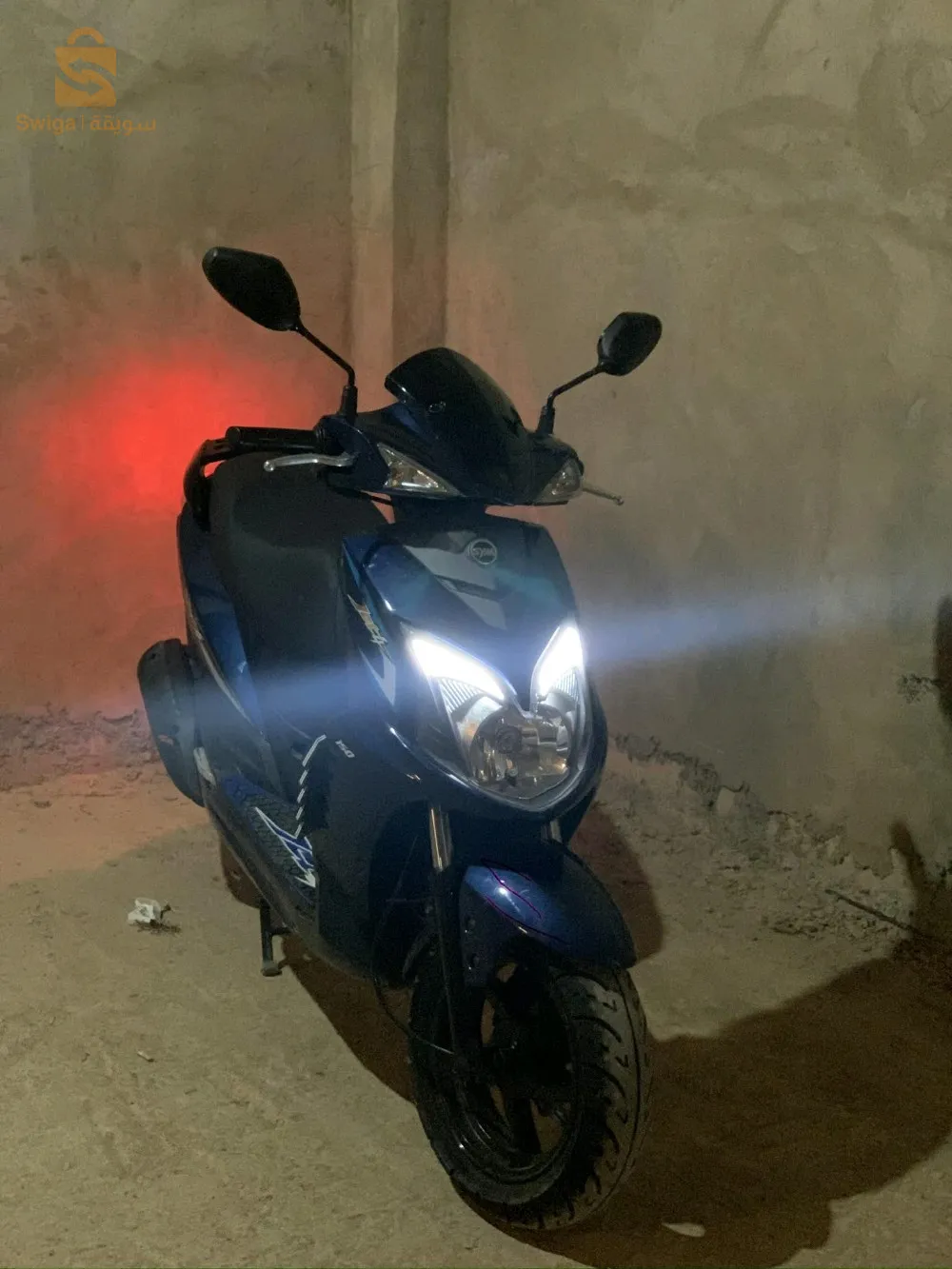 تنس الشلف