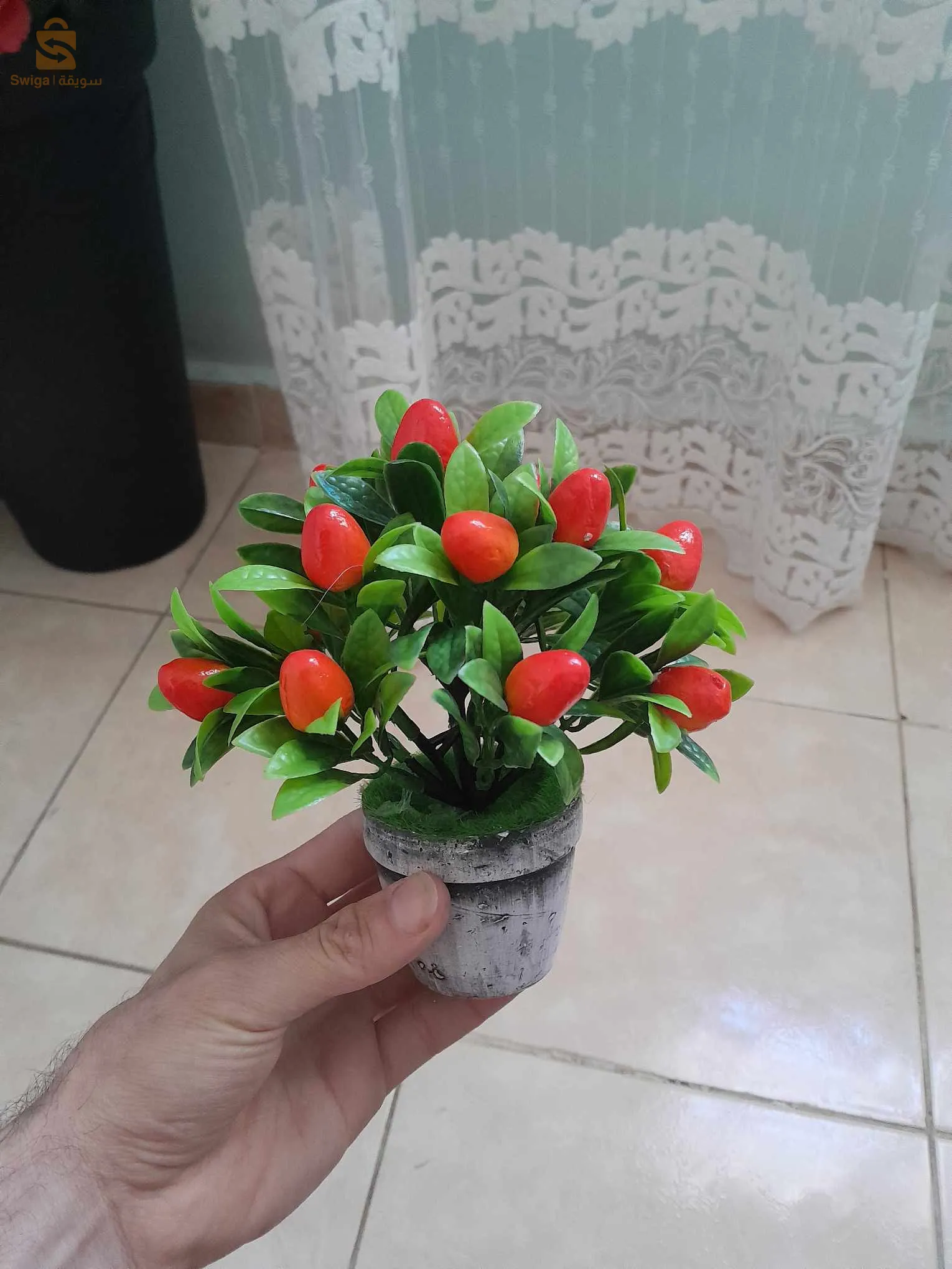 ورود