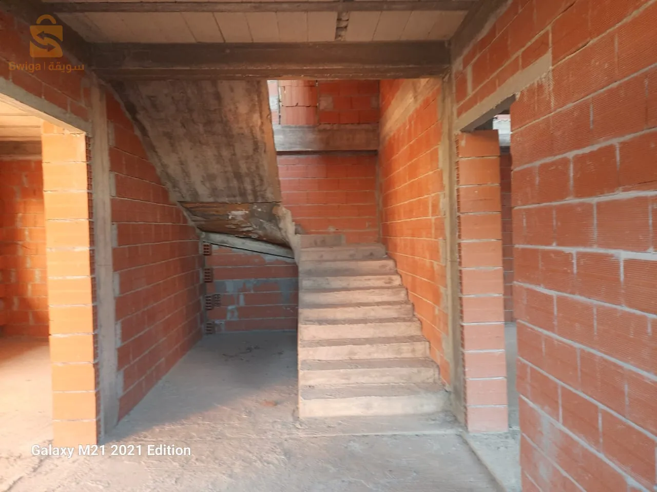 بتي تامو البليدة