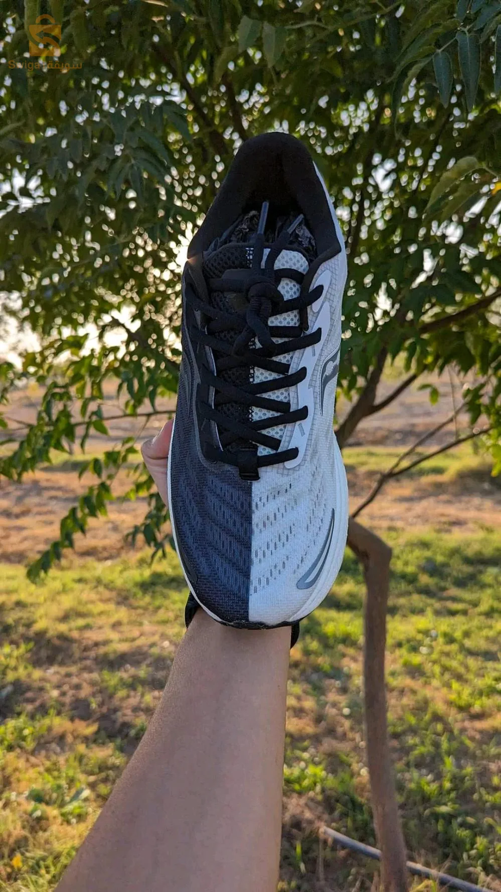 saucony shose running