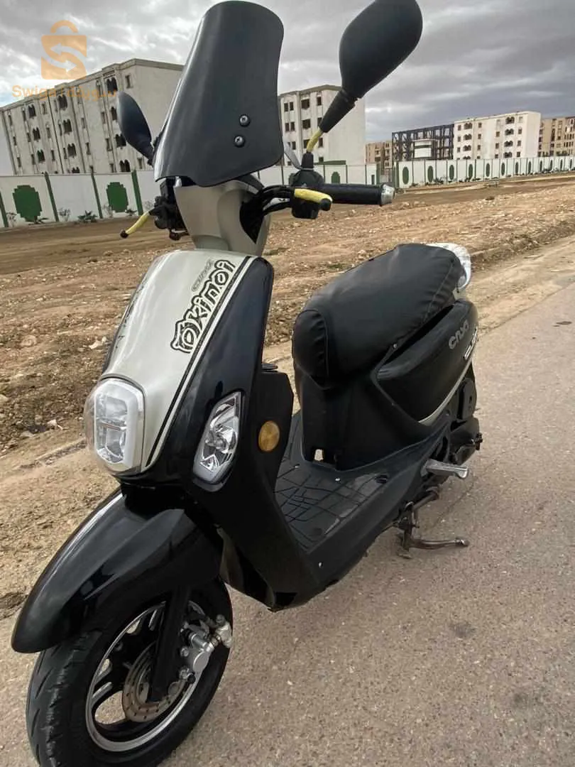 جديدة مفيها حتى حاجة