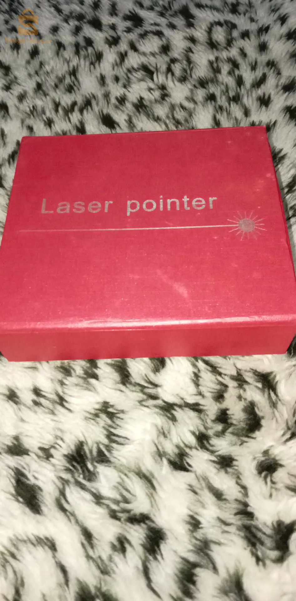 سكيكدة وسط المدينة