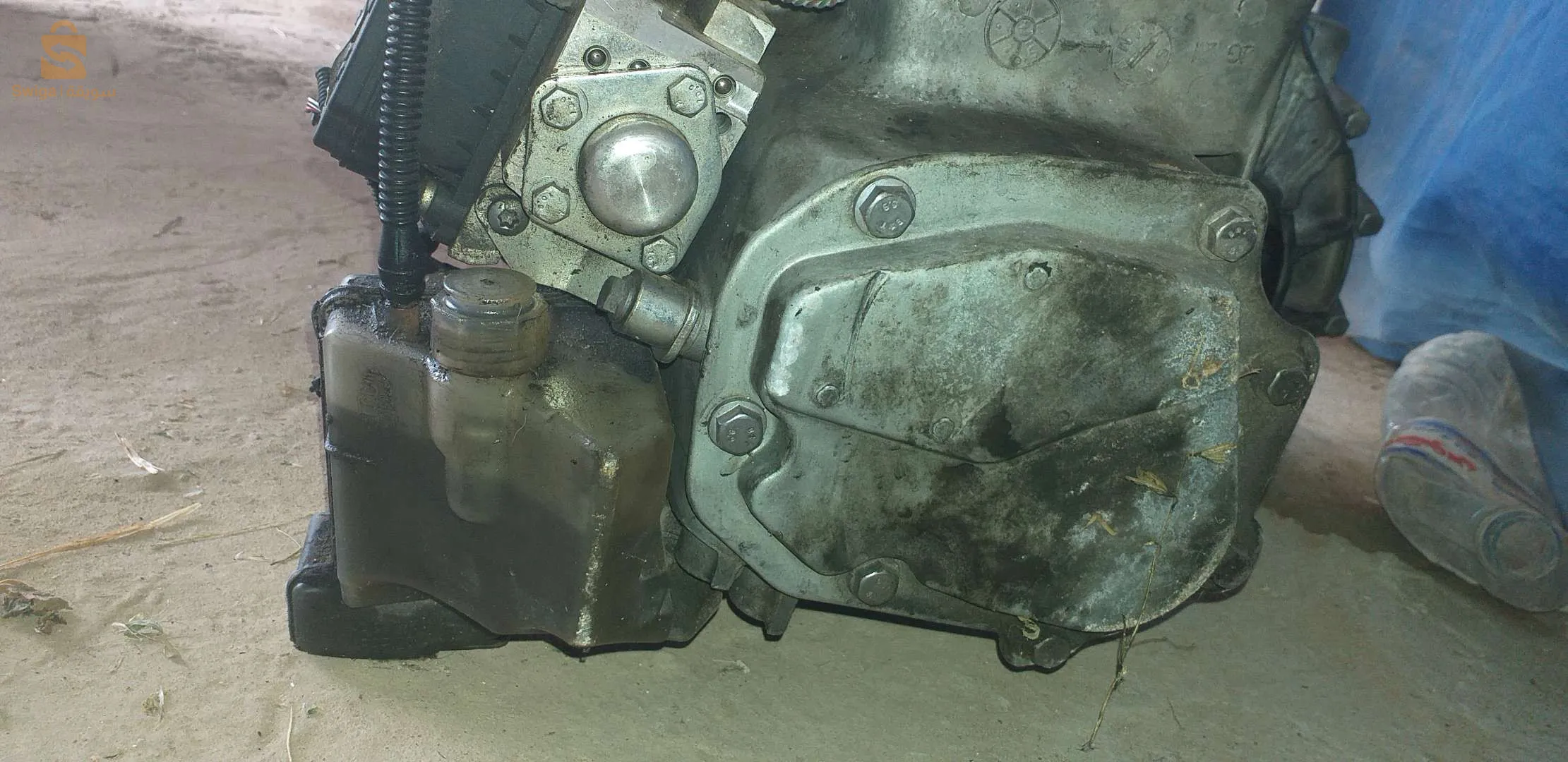 المريج تبسة