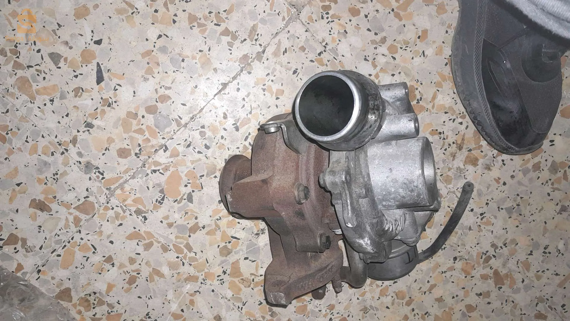 حجا شابة وبلقارونتي لكاص فرونسا