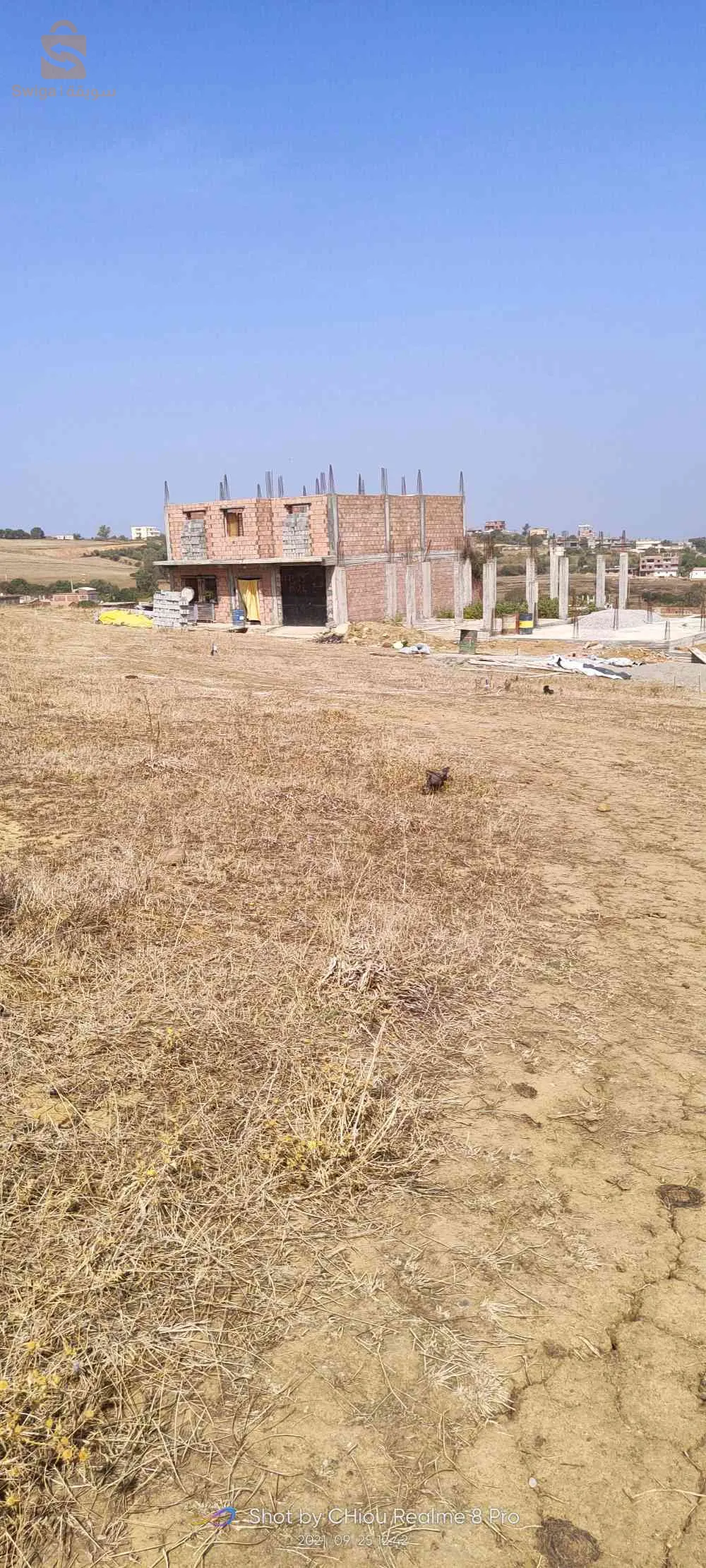 بوشعلة تاسوست