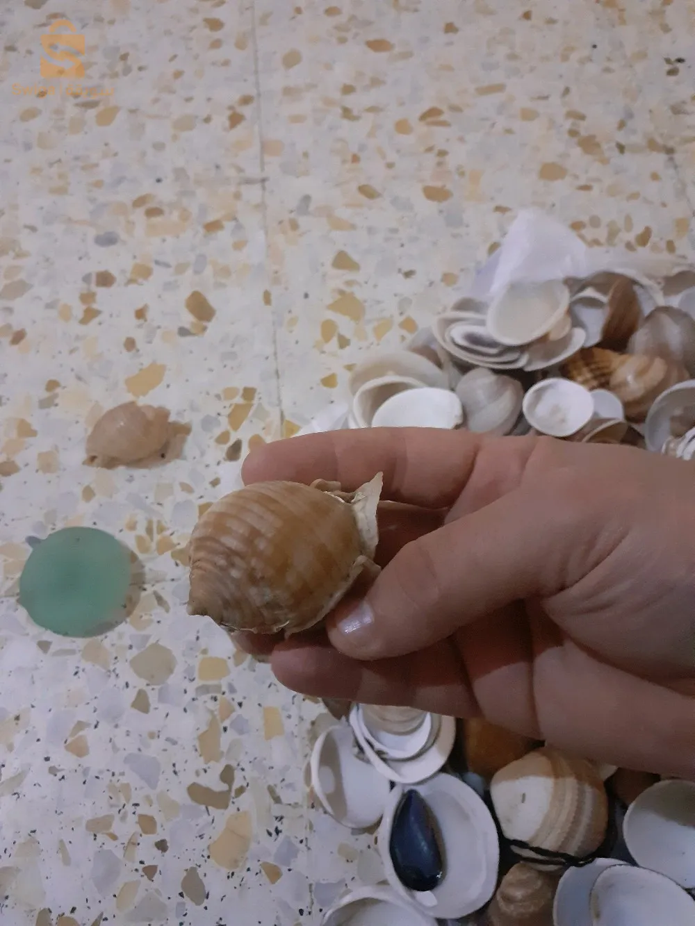 ولاية جيجل بلدية سيدي عبد العزيز