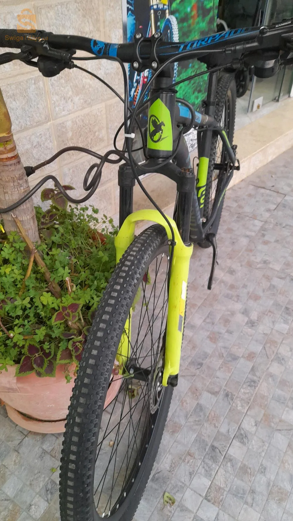 دراجة هوائية