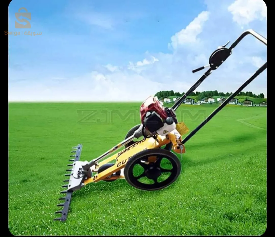 حشاشة ايصونص 70سنتيم