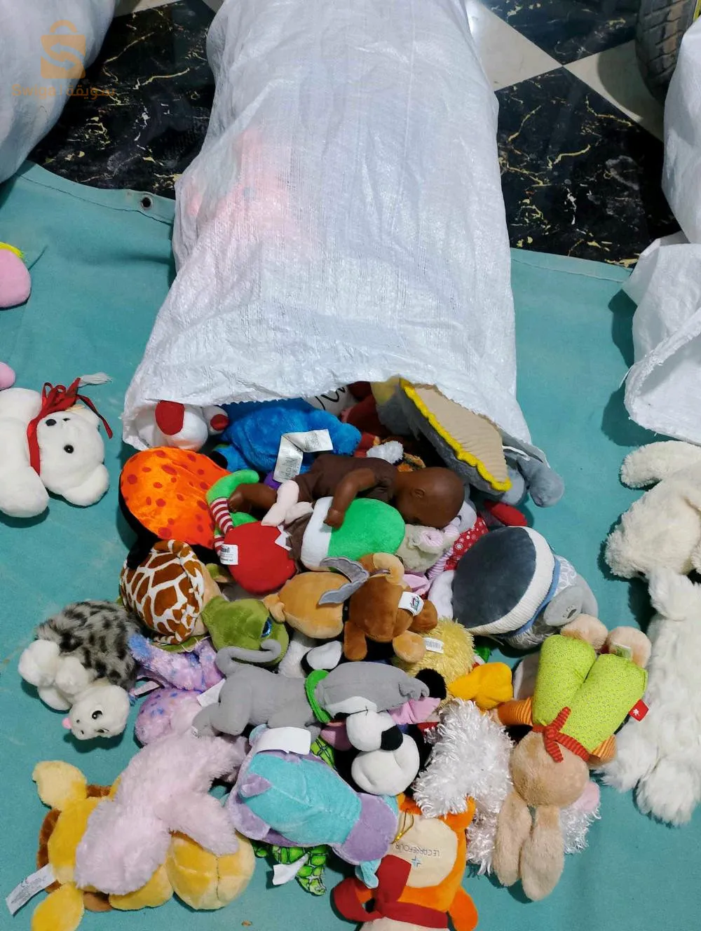 سلام عليكم
لي يحب يخدم هاهي لفار سومة شابة معا التوصيل لجميع الولايات للاستسفار اتصلو علا 📣☑️الرقم 0561049599
راهي كمية صغيرة