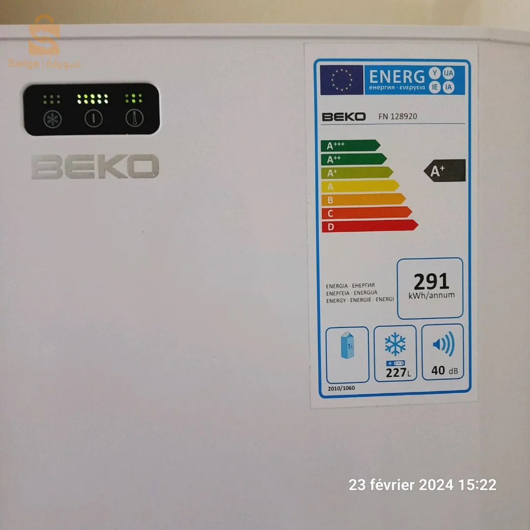 كونجيلاتور للبيع