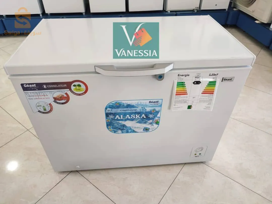 Congélateur de la marque géant 300L
