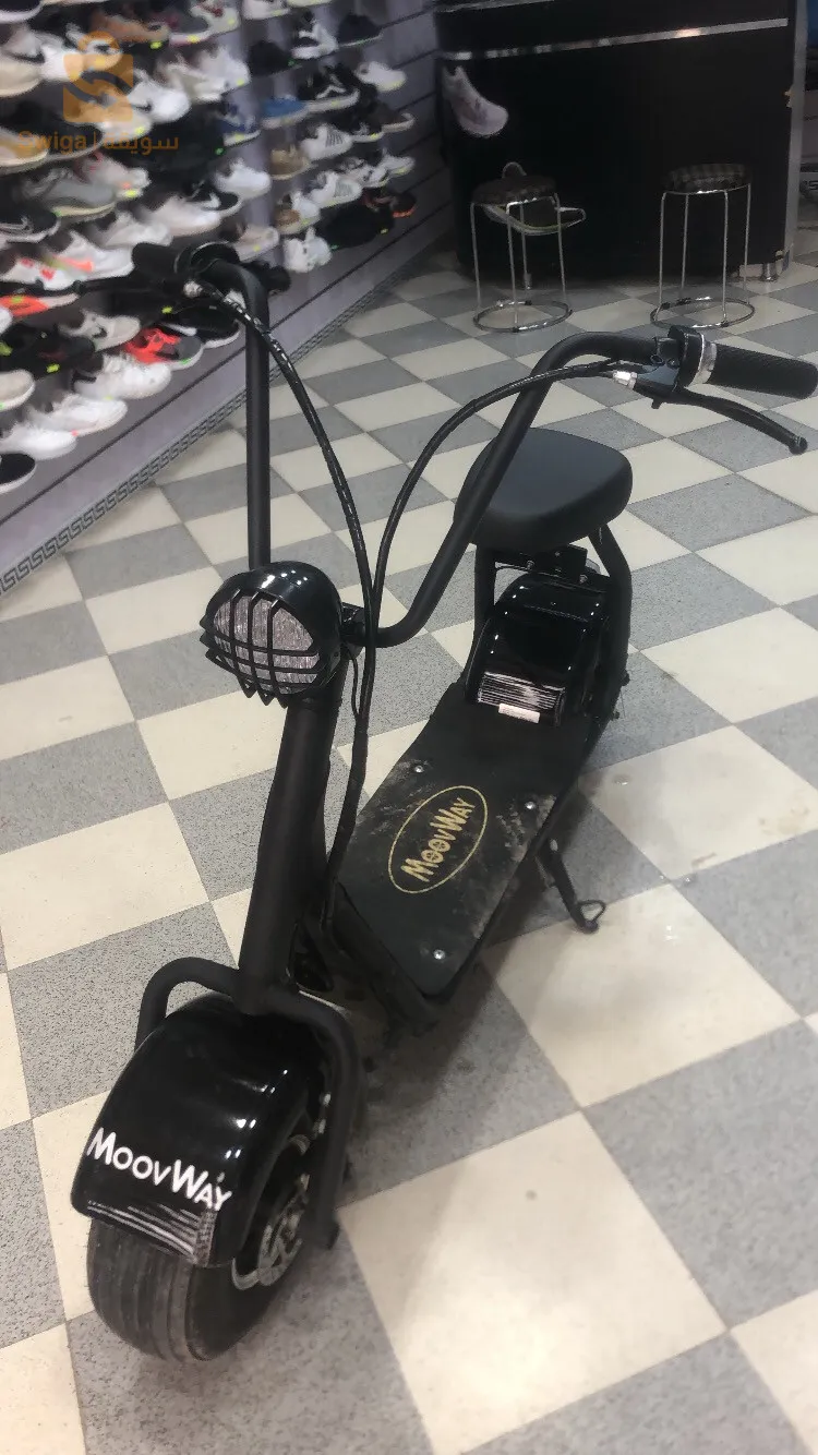 Woovway electric bike