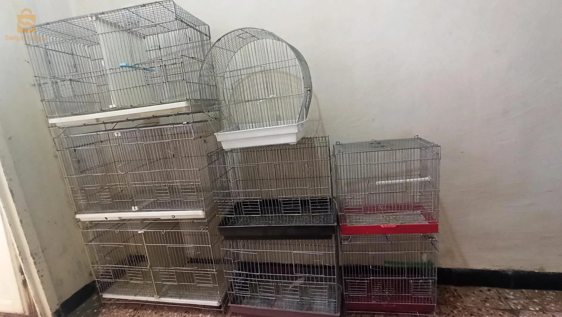 قفص مستعمل للبيع  شلغوم العيد