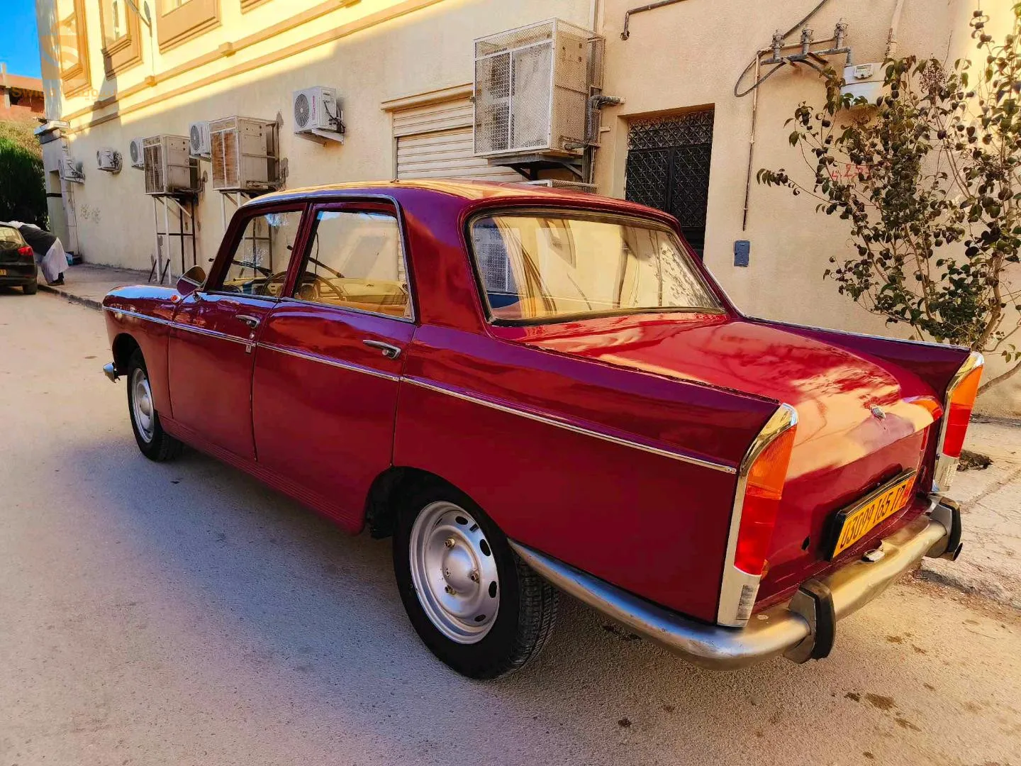 الجلفة حي المستقبل