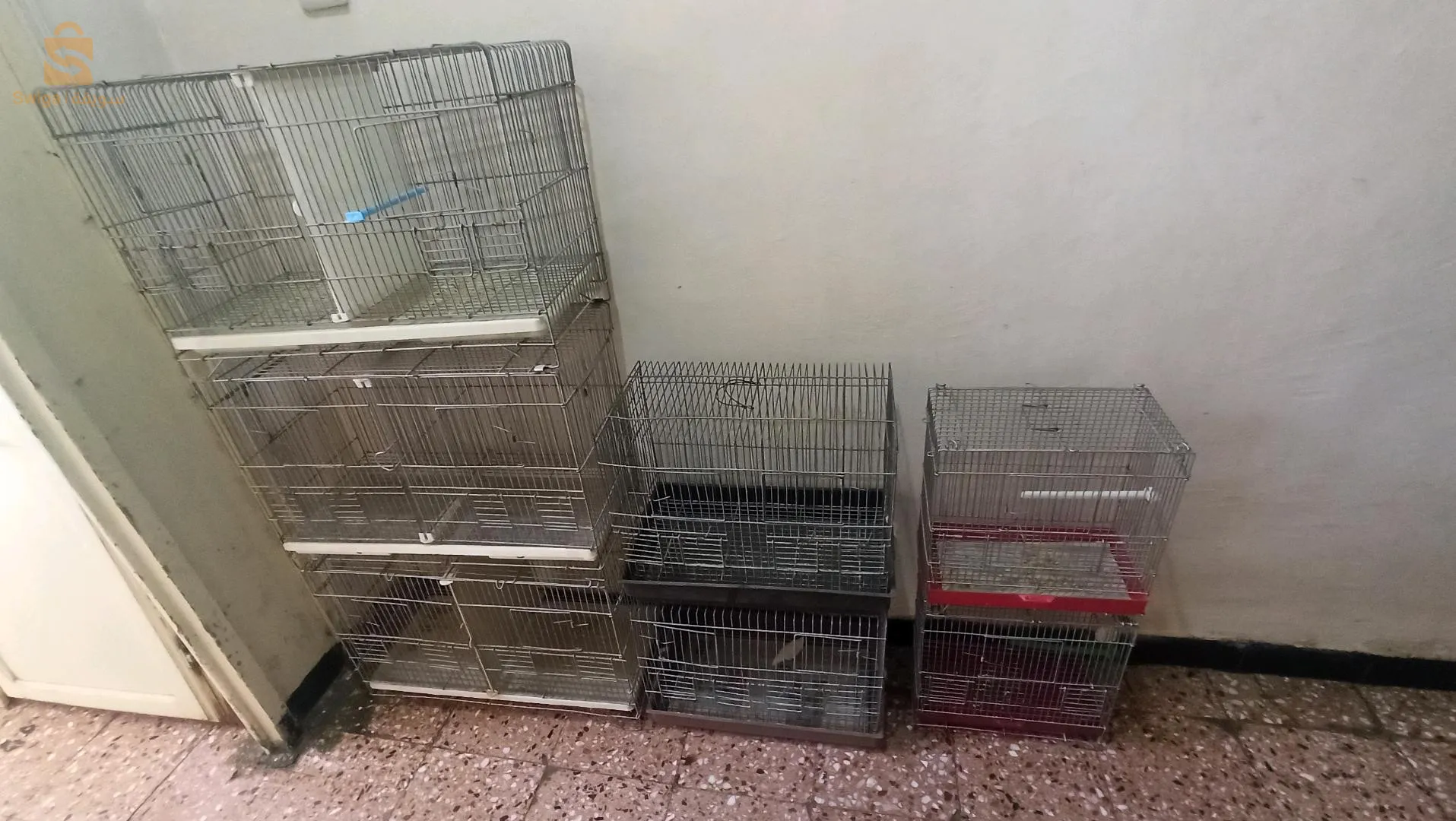 قفص مستعمل للبيع  شلغوم العيد