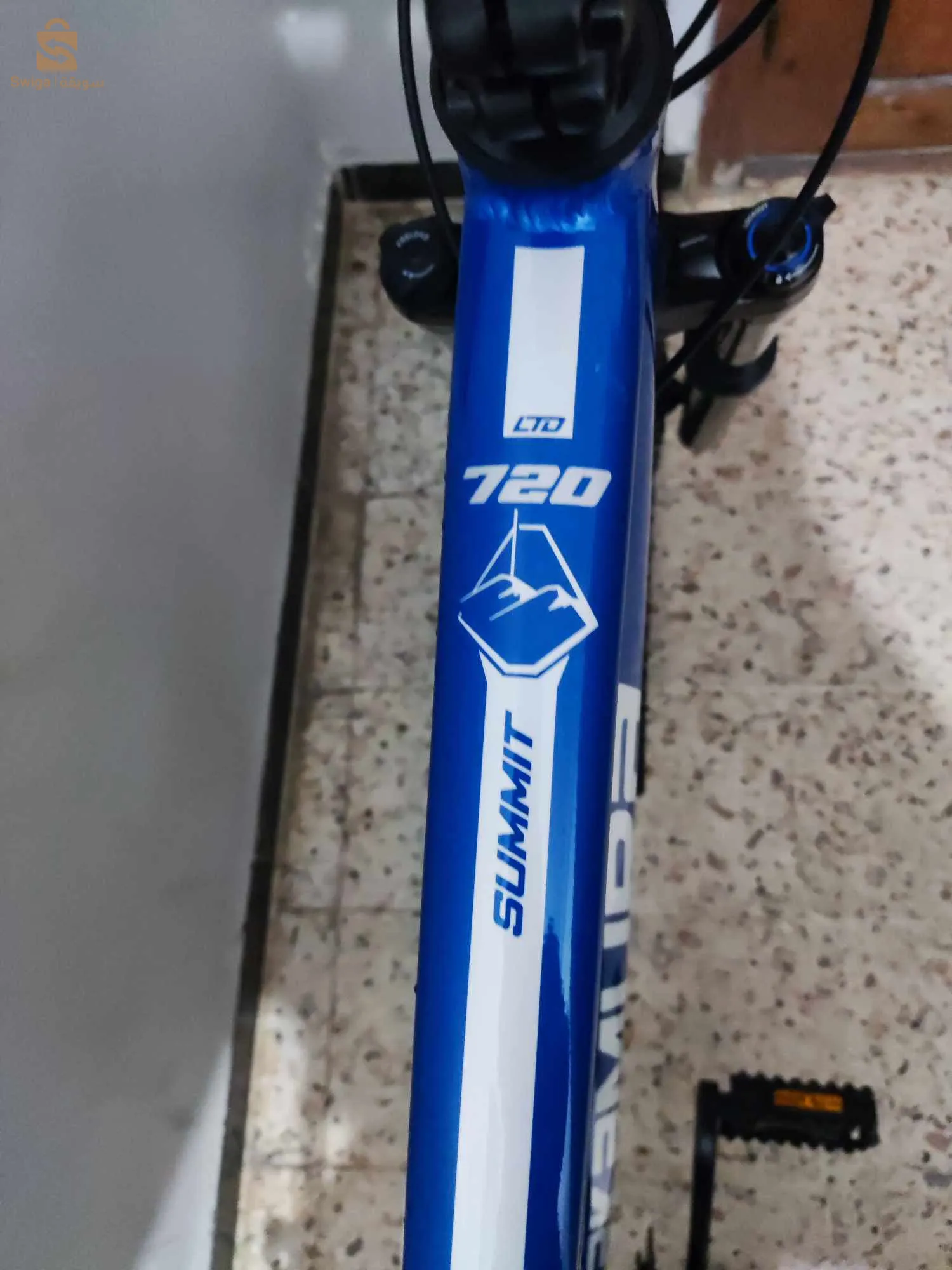 vilo Nakamura 10/10