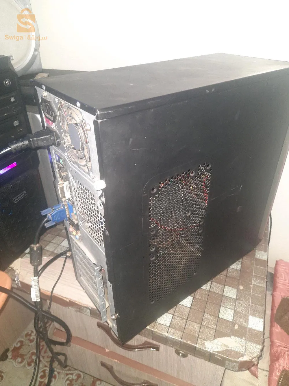 شتوان تلمسان