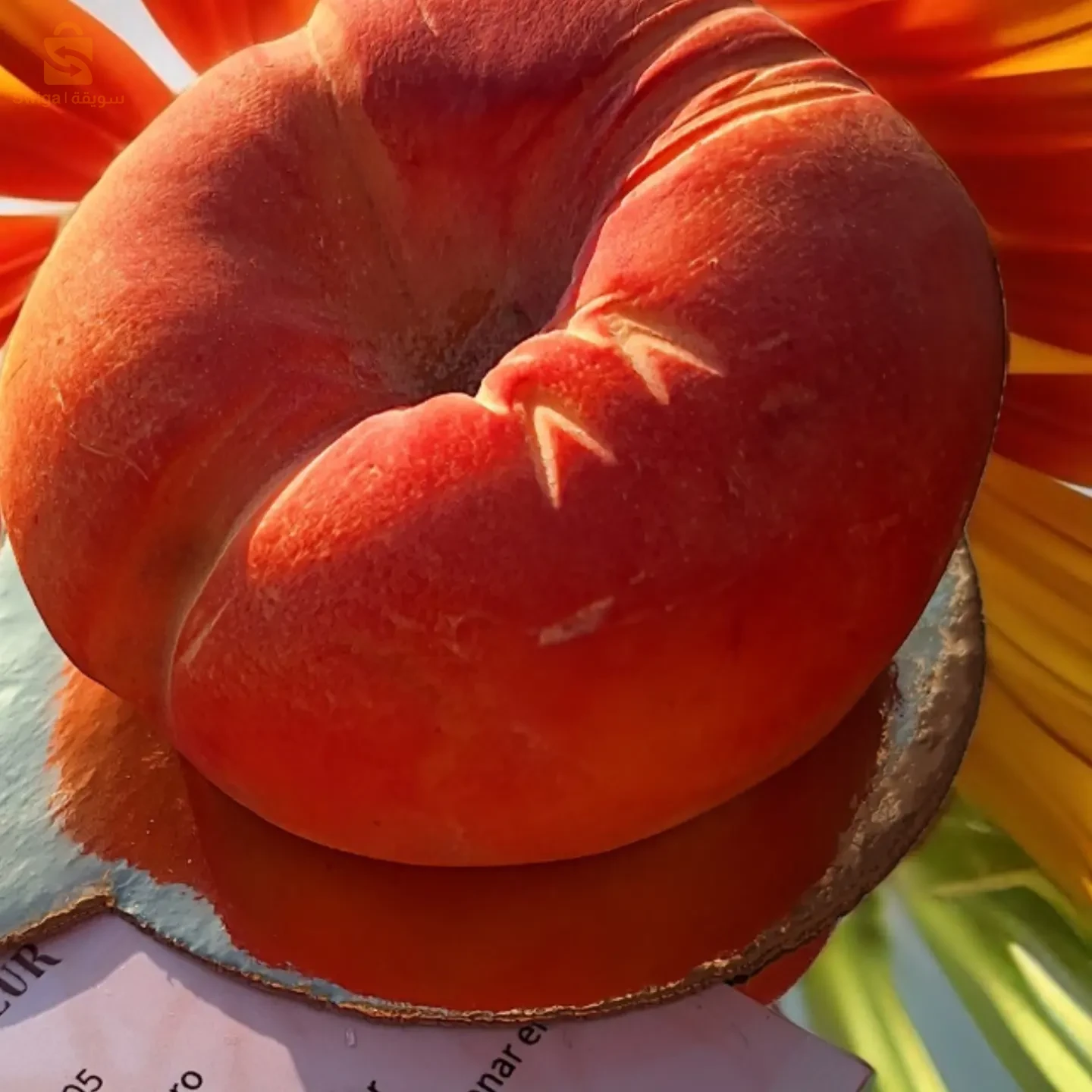 حلويات و مملحات تقليدية عصرية