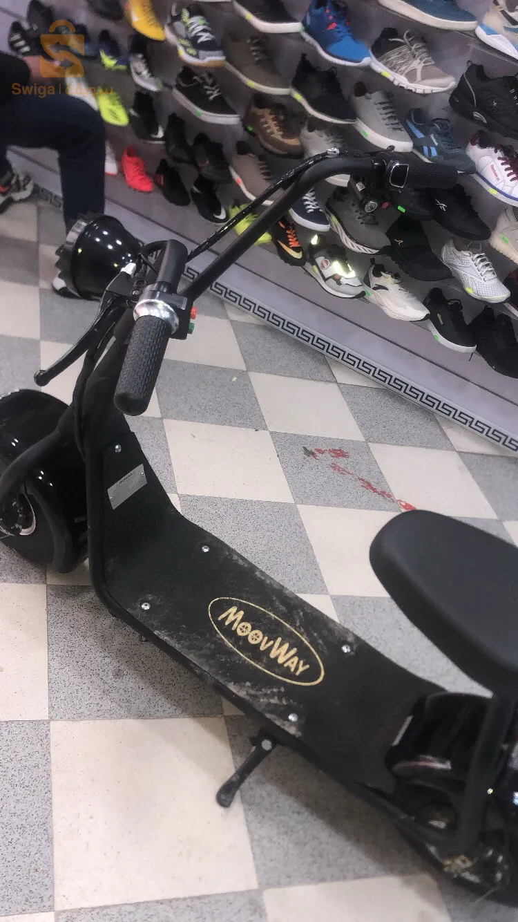 Woovway electric bike