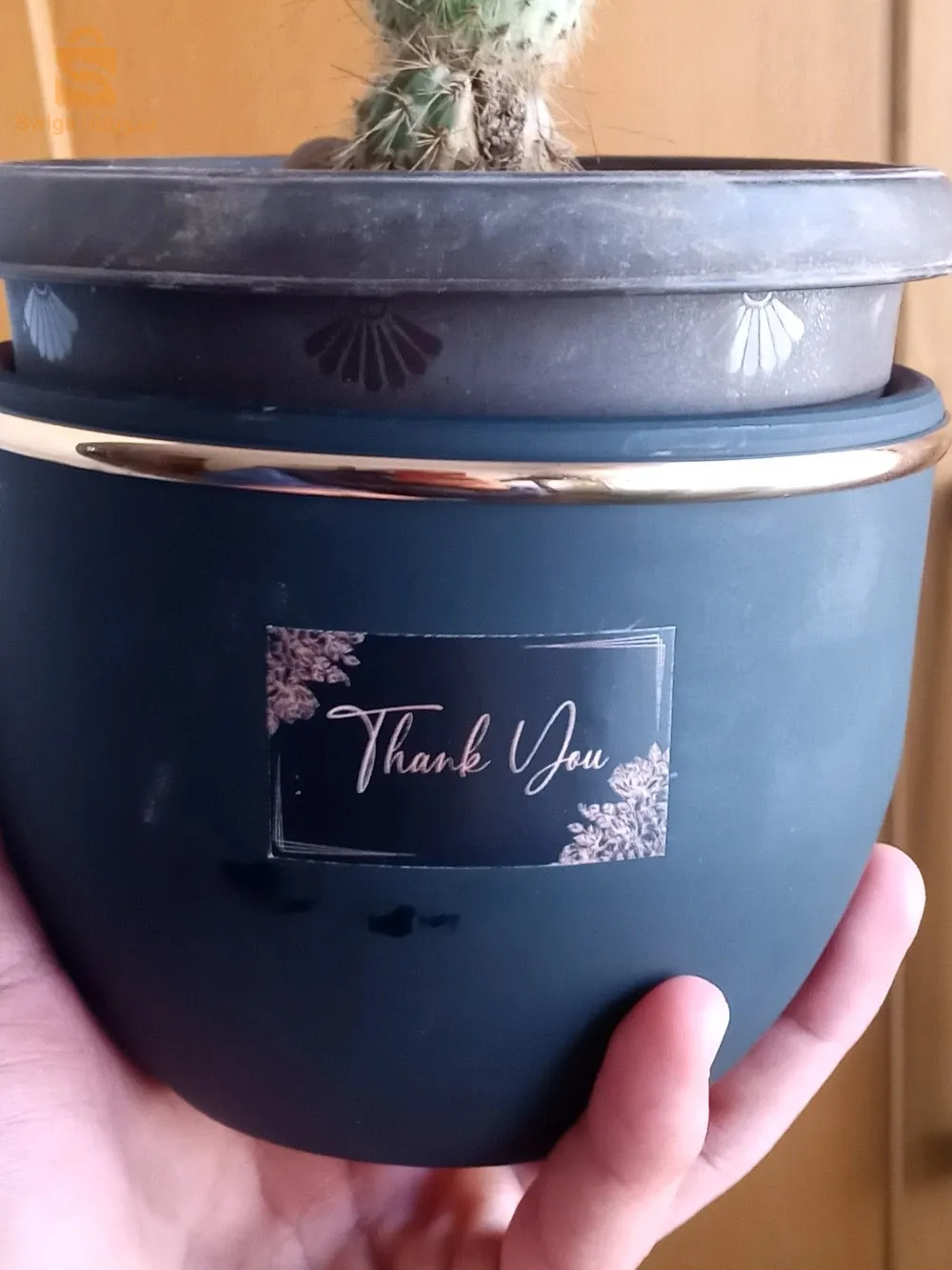 تيارت _ تيارت