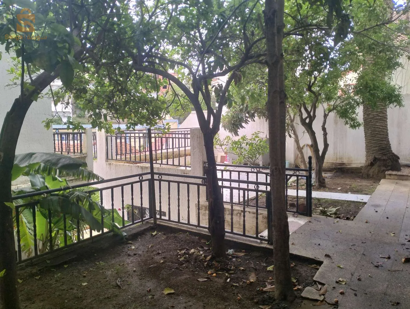 Alger Golf particulier vend villa de 500 m avec piscine et jardin et 2 garages