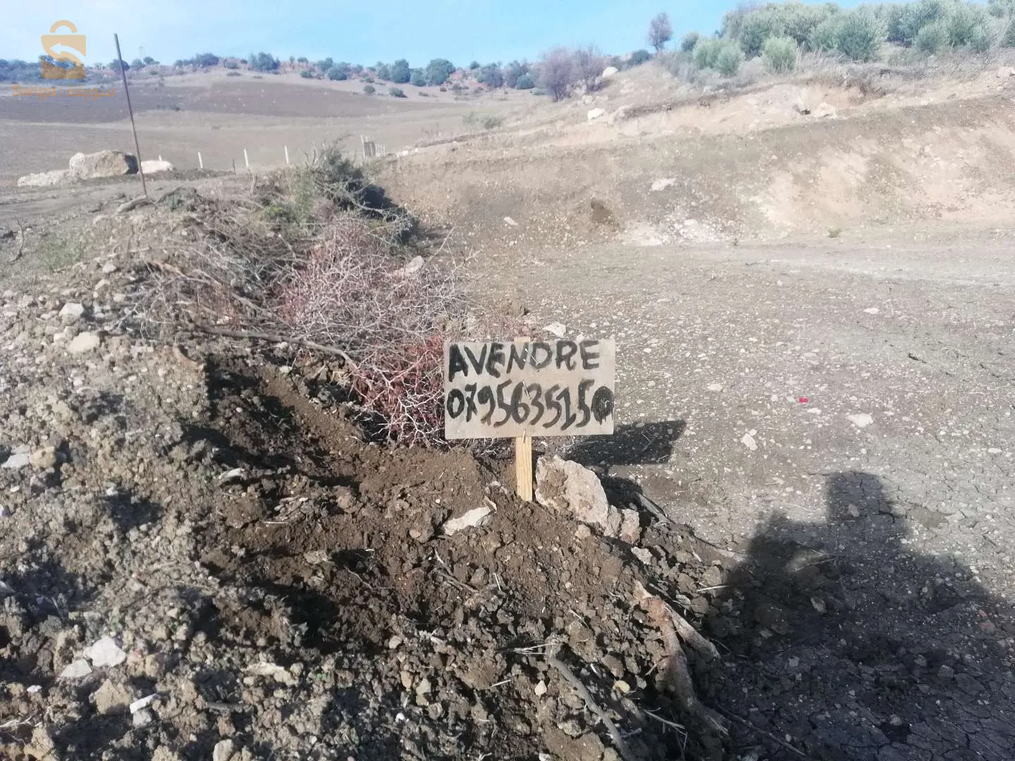 الارض عمارني للبيع 0795635150