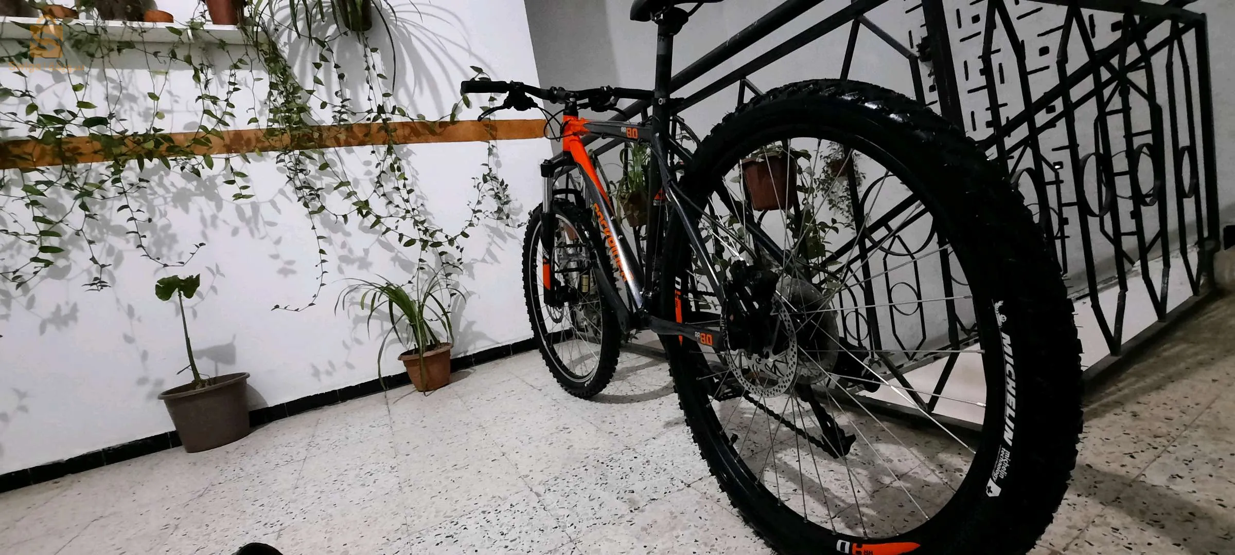 Vélo Rockrider  8.0 RR