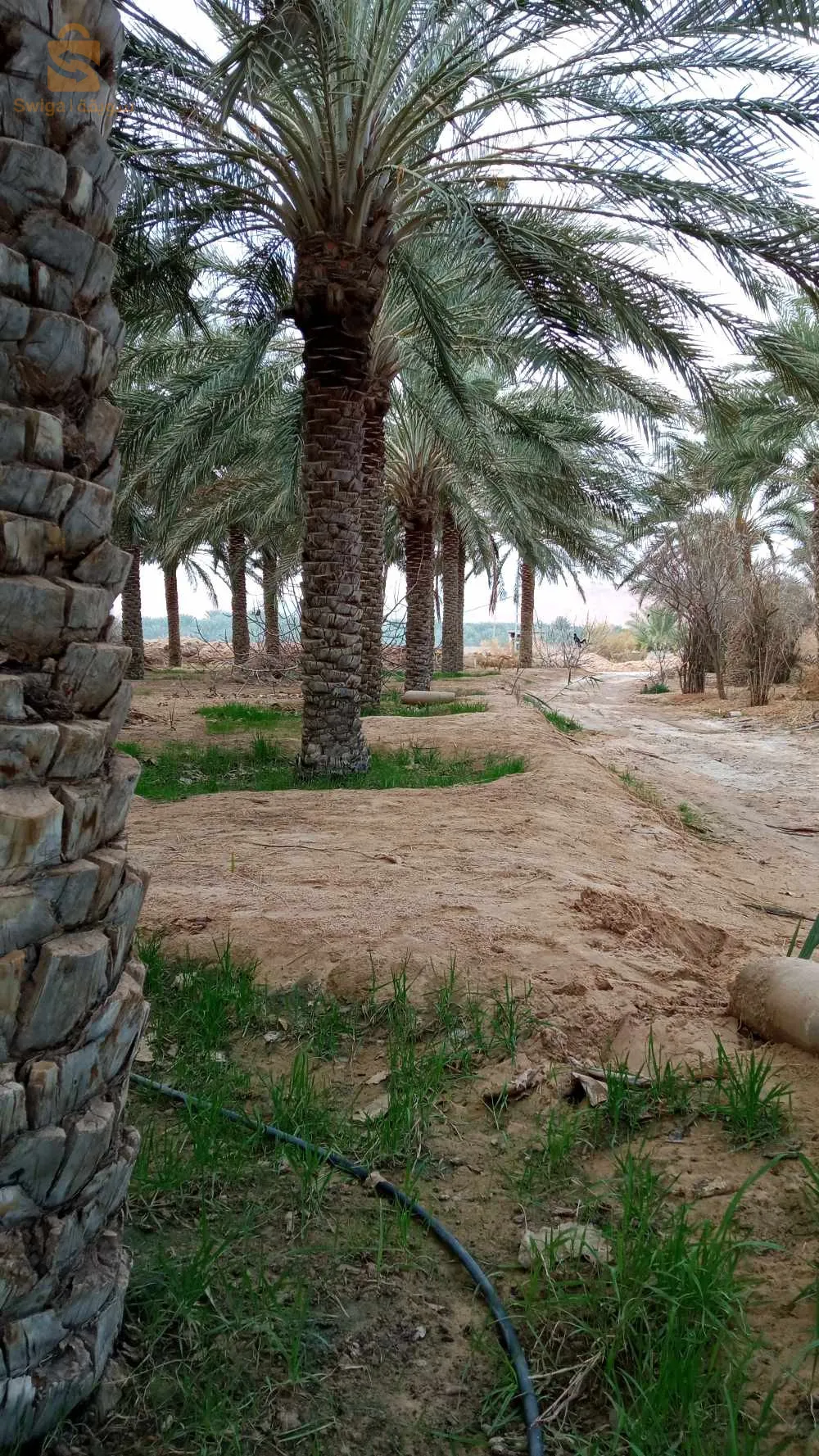 استثمار ممتاز