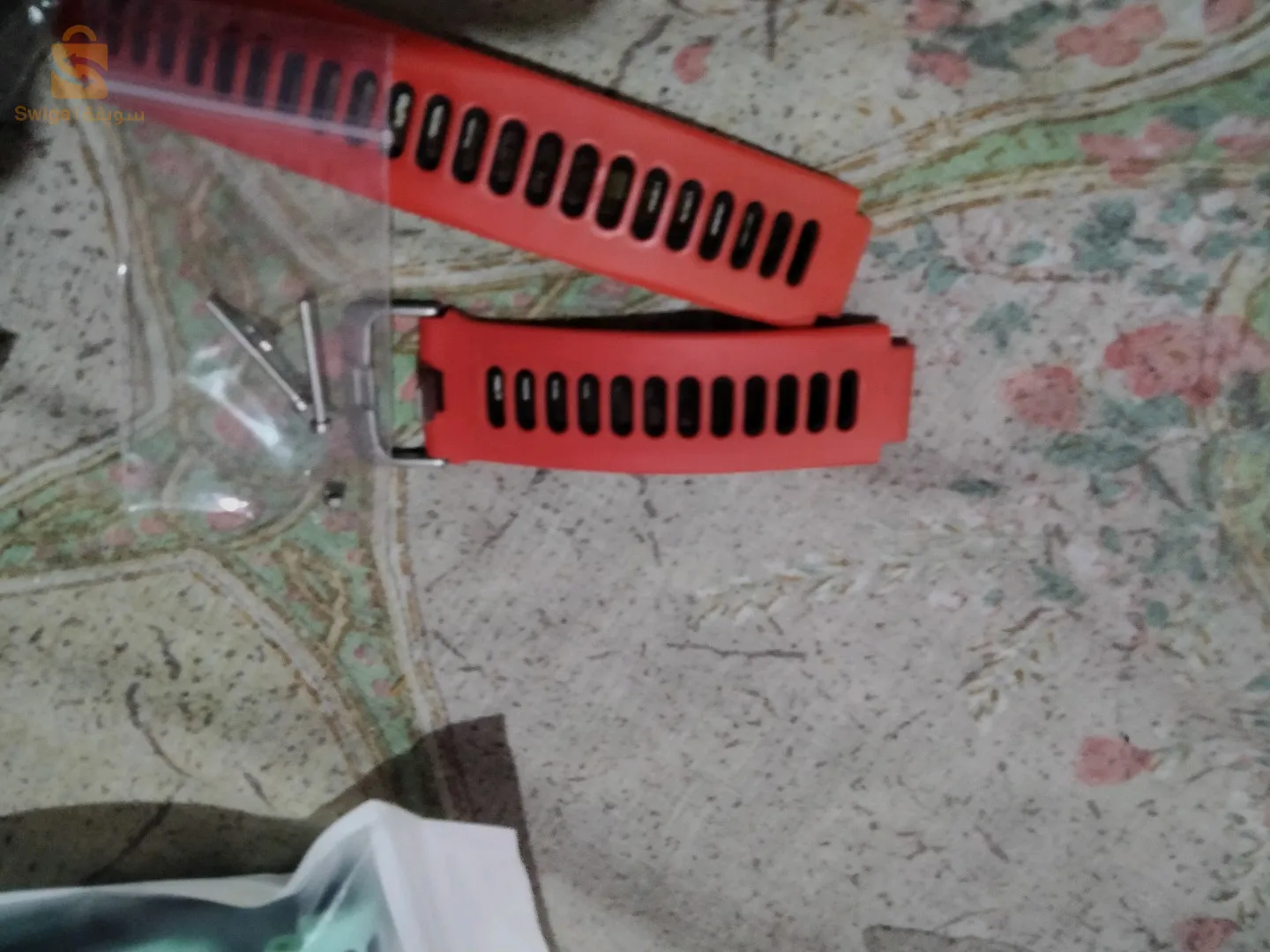 شلغوم العيد