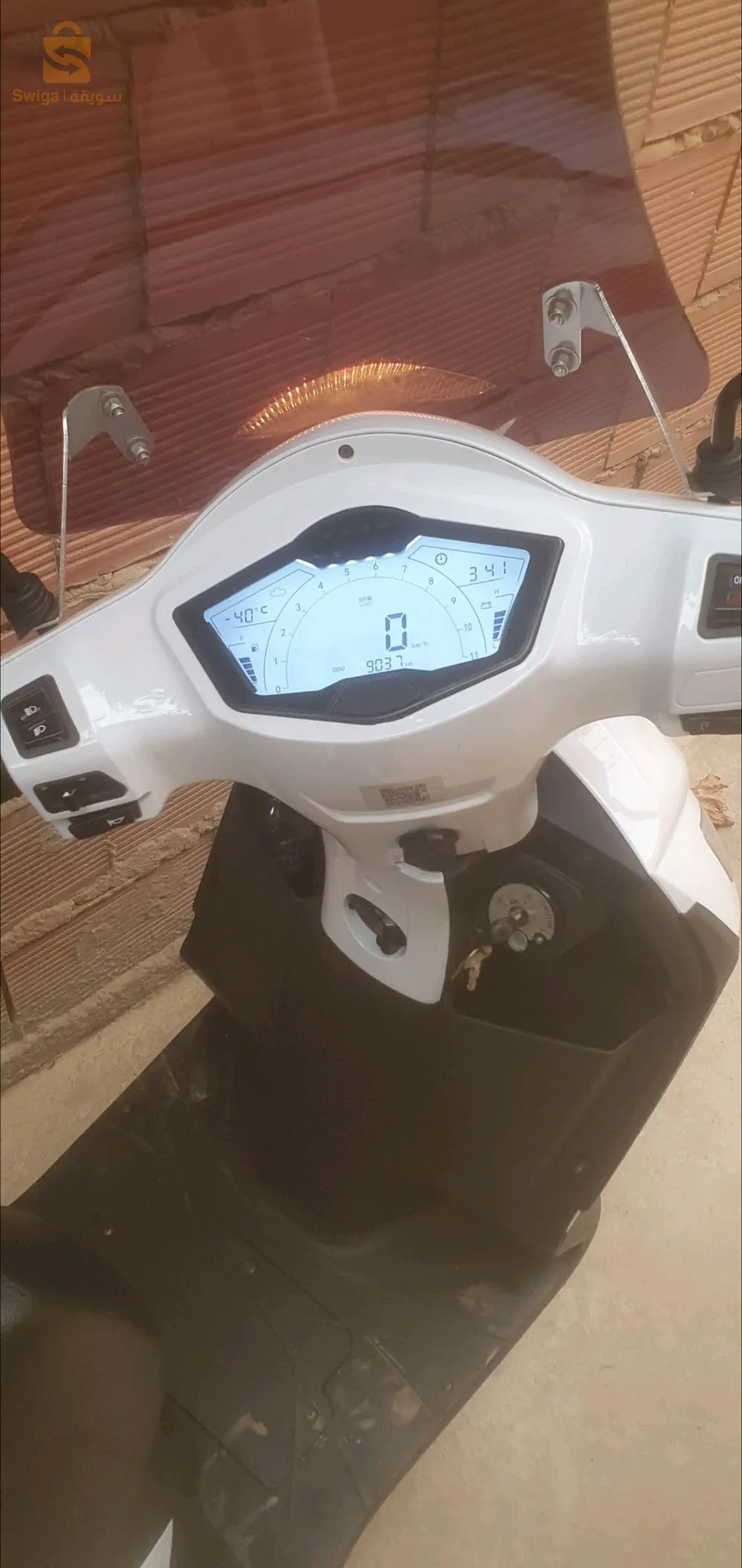 عين دفلي خميس