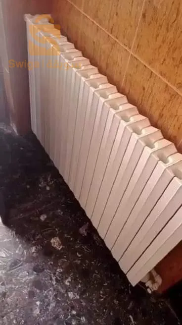 الجزائر العاصمة وضواحيها