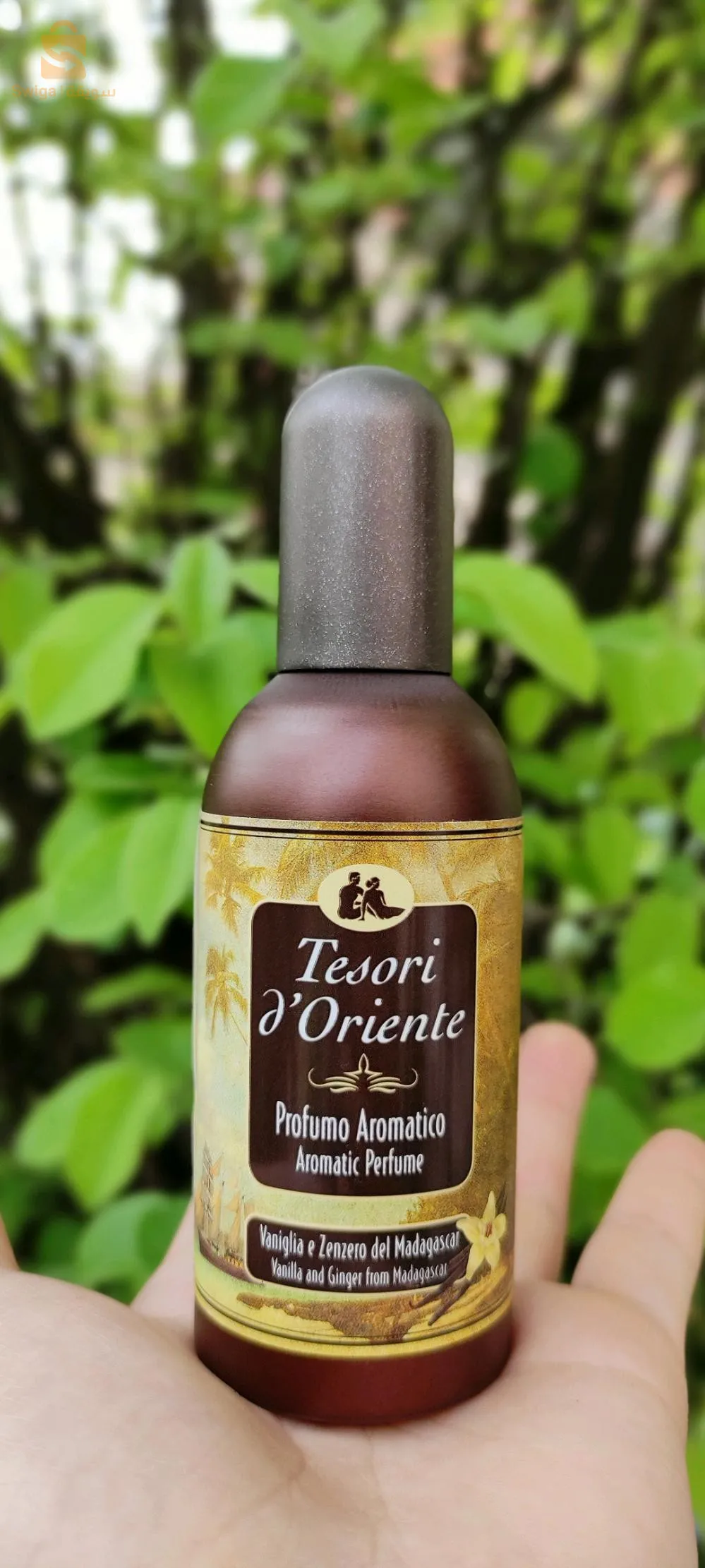 عطر تيزوري