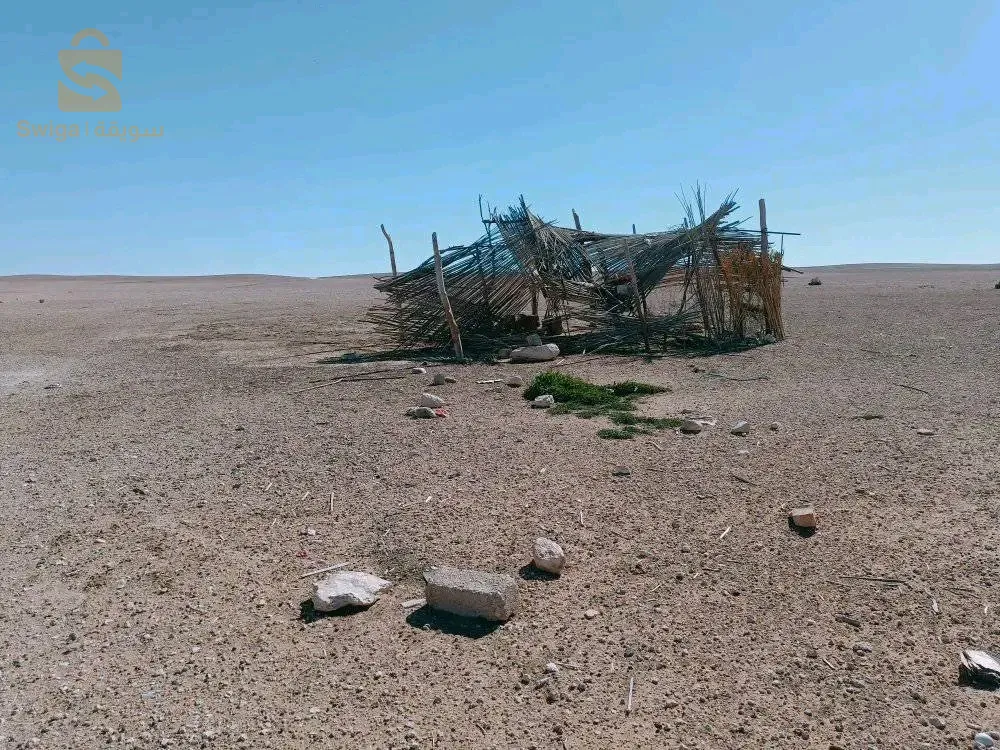 الجلفة .دار الشيوخ. طسطارة