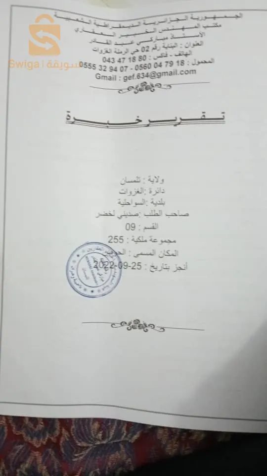 الغزوات  تونان تلمسان
