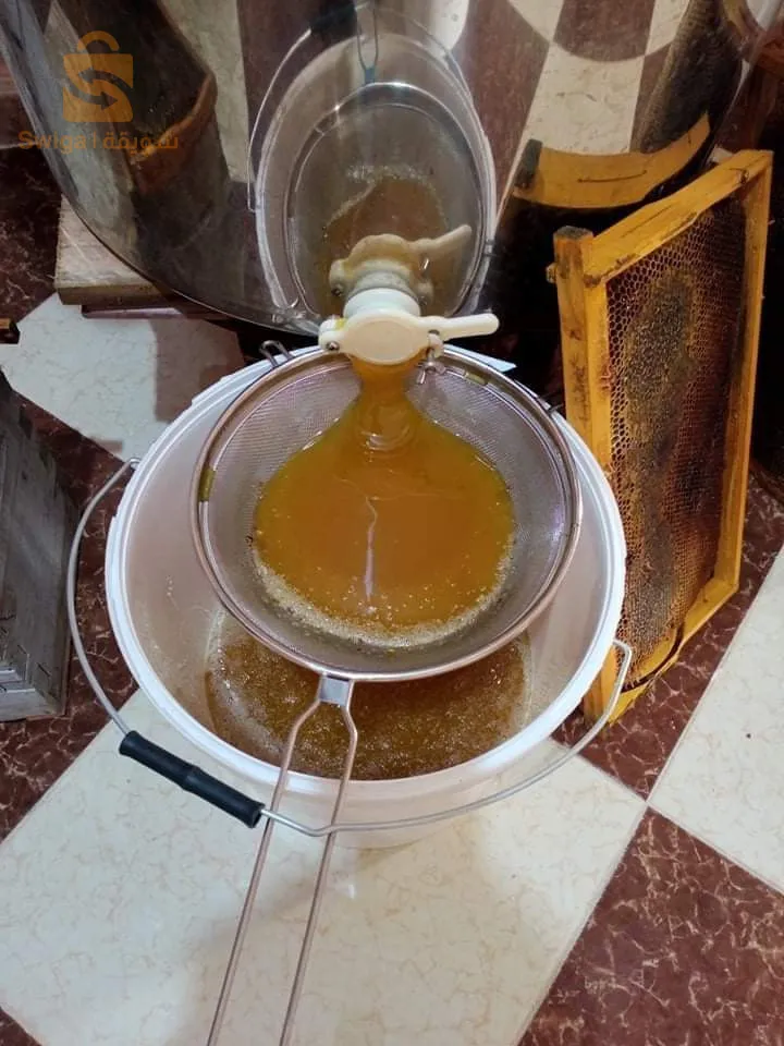 حسل حر جبلي وعسل سدرة جملة وديطاي